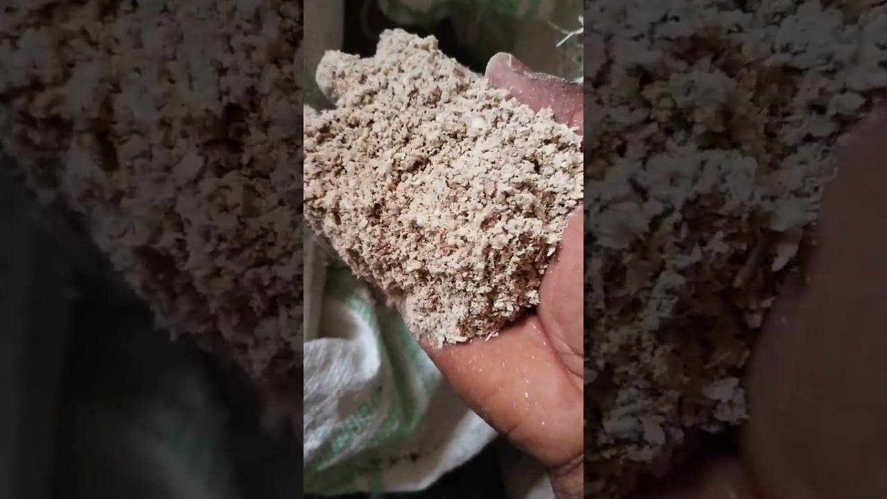 How to make your newly weaned piglets feed well using this formula.