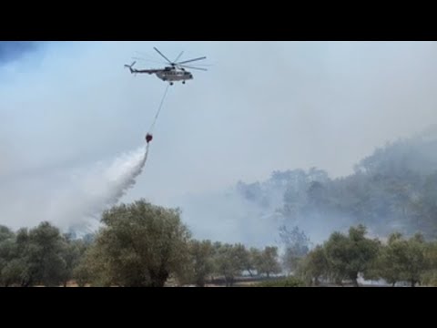 Video: Las Golondrinas Es Un Respiro De Fin De Semana Aislado En Las Montañas De México