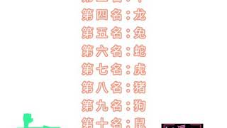 2020年 十二生肖运程