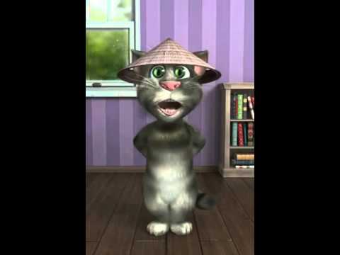Video Con mèo thông minh - youtube