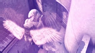 BIRDS OF A FEATHER. [CSGO Edit  - Clips in desc]