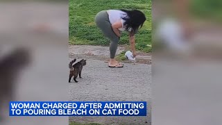 Woman facing charges after admitting to pouring bleach on cat food: Court docs