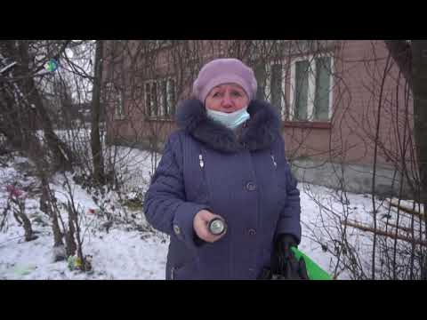 Госдума поддержала инициативы Госсовета Коми в сфере обращения с безнадзорными собаками