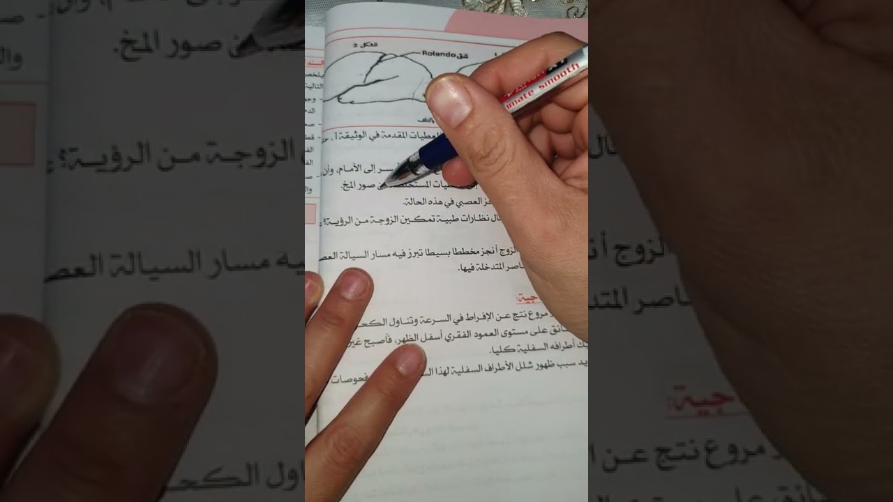 حل وضعية ادماجية حول الإتصال العصبي للسنة الرابعة متوسط..منهجية الاجابة