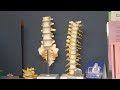 Taking the right steps towards pain management