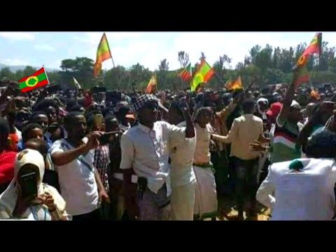 Ergaa Ajjaibaa Caqasii Wan Dubacha Jiru October 5 2025