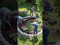 The Most Satisfying Garden Makeover You'll See Today 🌸