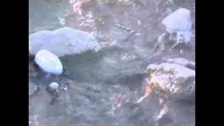 Trouble Up There-Stick Figure