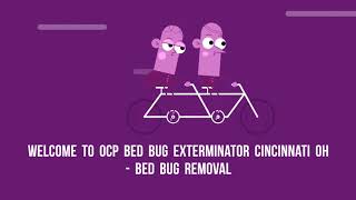 OCP Bed Bug Removal in Cincinnati, OH