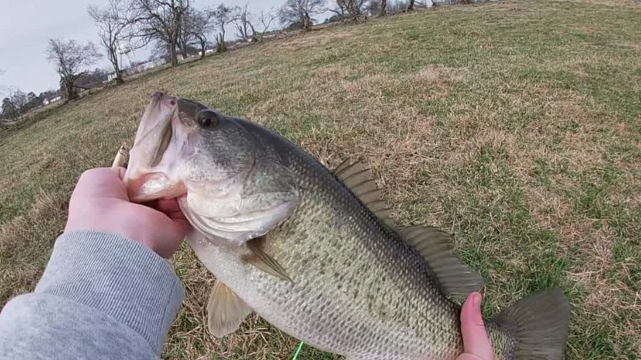 Winter Pond Fishing for Big Bass
