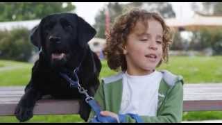Oddball (2015) Odd Pets Clip 2 [HD]