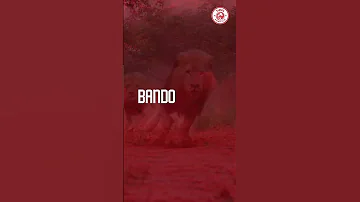 TAZAMA MCHEZAJI MPYA WA SIMBA HUYU HAPA 