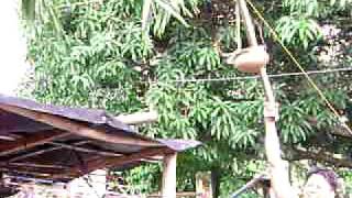 MOV02274.AVI