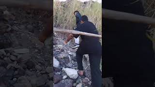 Field Study Trip Friend ﷻ