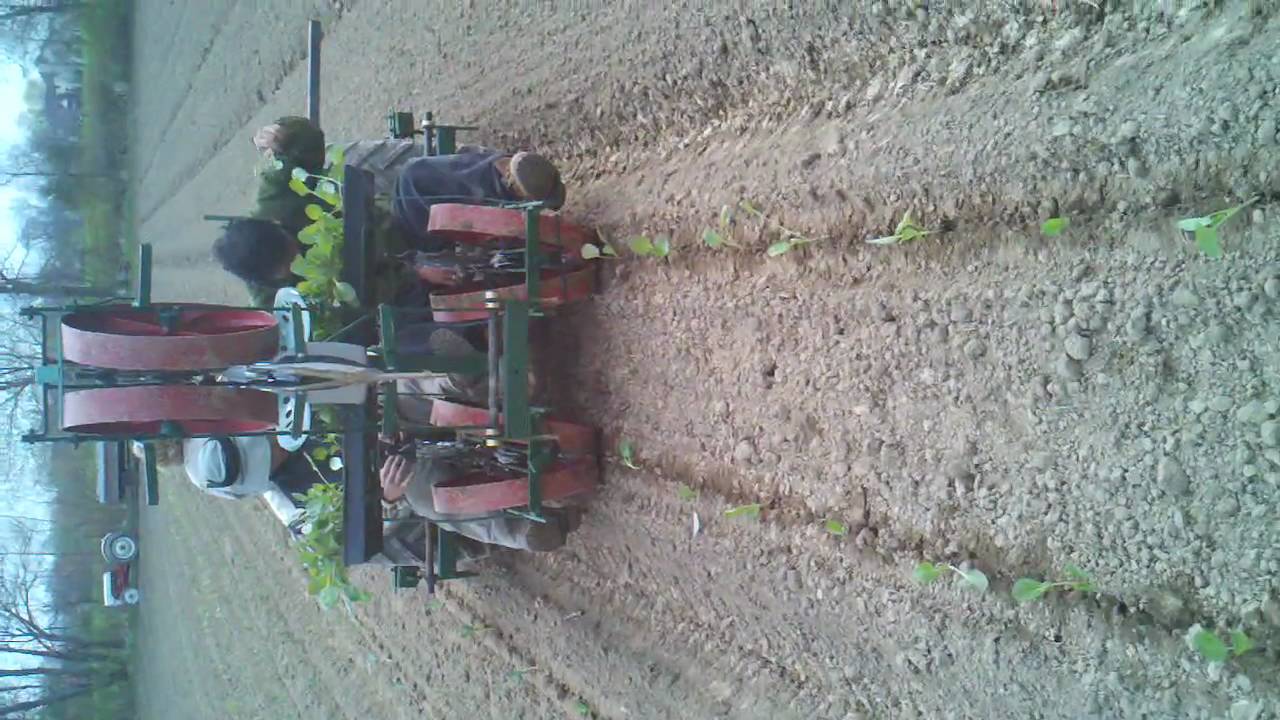 Holland Self Propelled Transplanter planting cabbage at Balanced ...