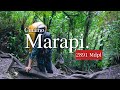 Pendakian Gunung Marapi - Sumatera Barat (Cinamo Vlog)