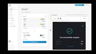 Introducing Overnight Finance Swap Zap-In