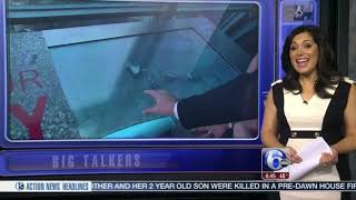 Panogs One Liberty Place Philly from the Top Gigatouch Experience