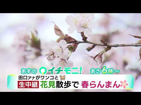 【HTB公式】4月21日(金)イチモニ！予告