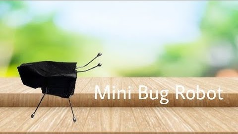 How to make a bug robot