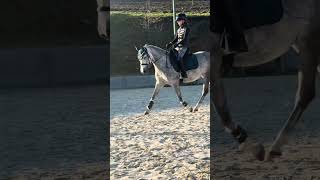 transformation de ma ponette
