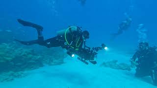 Creature Feature with Captain Slates Scuba Adventures