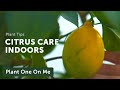 Citrus Care & Propagation with Logee's — Ep 156