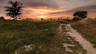 Nature therapy by the city