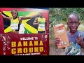 TOUR OF ELAINE THOMPSON PLACE OF BIRTH BANANA GROUND MANCHESTER JAMAICA MUST WATCH