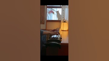 Thumbnail of A Guqin Song for When You Miss Home | The Camellia Has Bloomed (茶花开了)