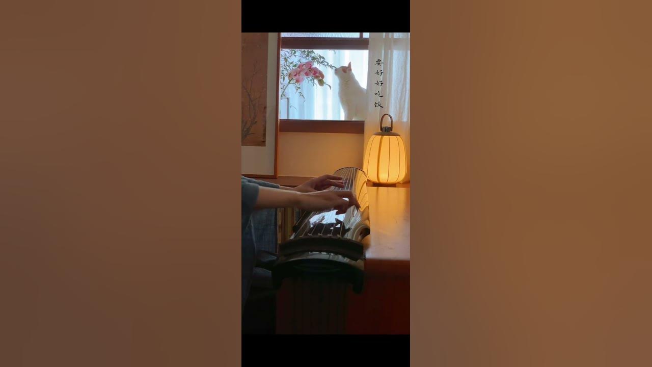 A Guqin Song for When You Miss Home | The Camellia Has Bloomed (茶花开了)