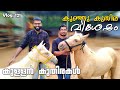 കുള്ളൻ കുതിരകൾ ചെറിയ വിലക്ക്! | Miniature Horse| Pony  | Trip Company Vlog