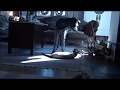 cat vs scottish deerhound の動画、YouTube動画。