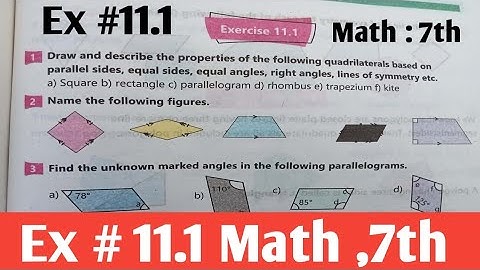 Class 7th Math unit 11 Exercise 11.1 kpk and ptb  New course 2022 SNC  | unit 11 Math 7th New book