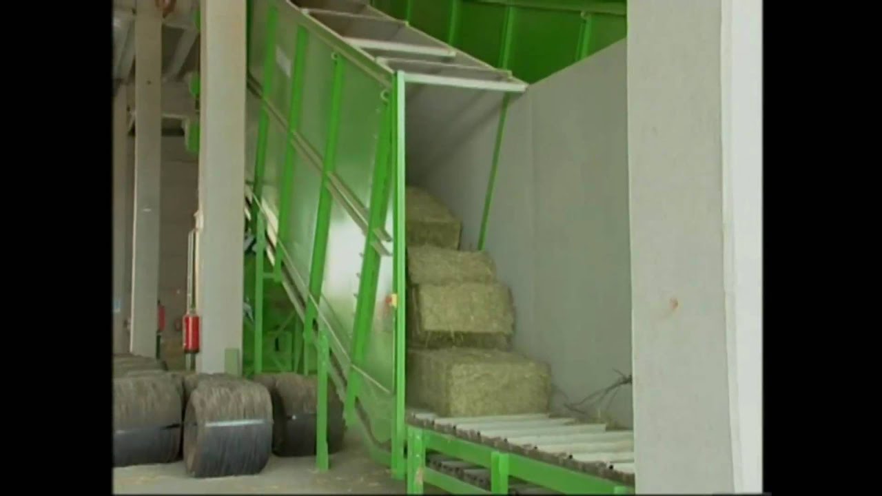 Cattle food production plants Tatoma dairy cow