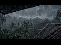 Silent Rain Sounds ⛈️ 3 HOURS (No Ads) | White Noise to Stop Overthinking & Sleep Immediately