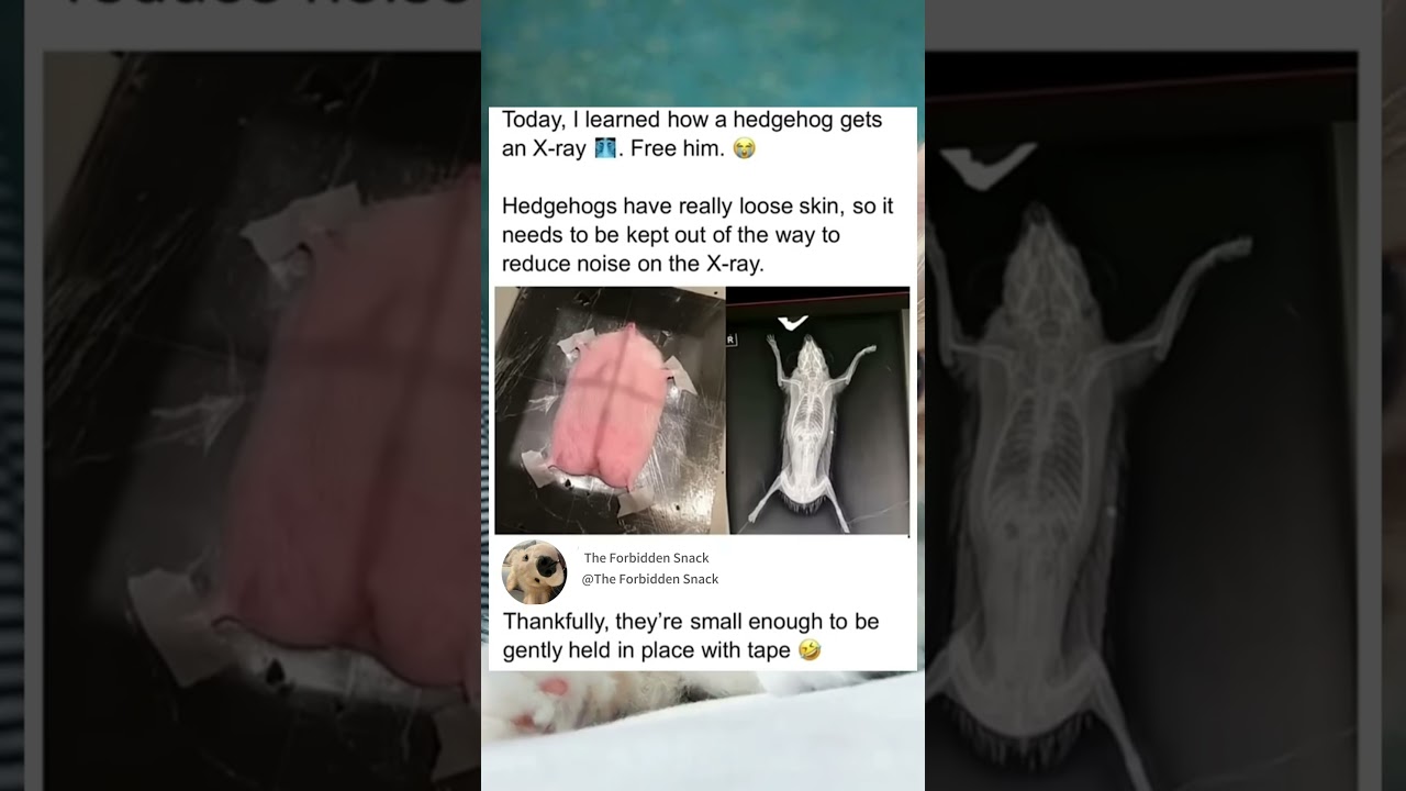 Real stories, real people.