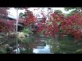 京都の秋 哲学の道 