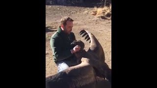 Huge condor bird returns to say ‘THANK YOU’ to the farmer who SAVED its life as a Baby