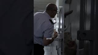 צלמון | אני רוצה לרצוח אותה