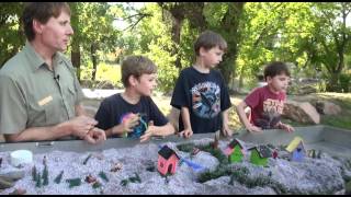 Teaching Youth About Our Watershed