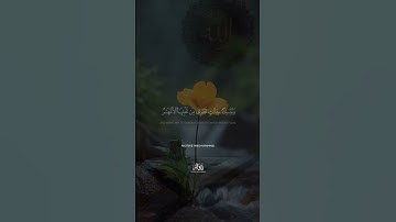 🌠 آية قصيرة من سورة التغابن | قرآن يريح القلب | طارق محمد