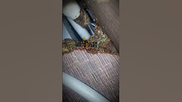 Tìm vị trí rò rỉ nước do chuột cắn tại quận Tân Bình|0935.453.897