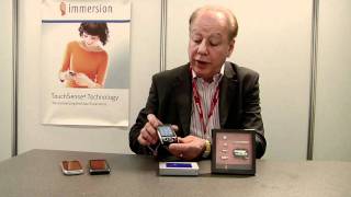 Immersion at SEE 2010
