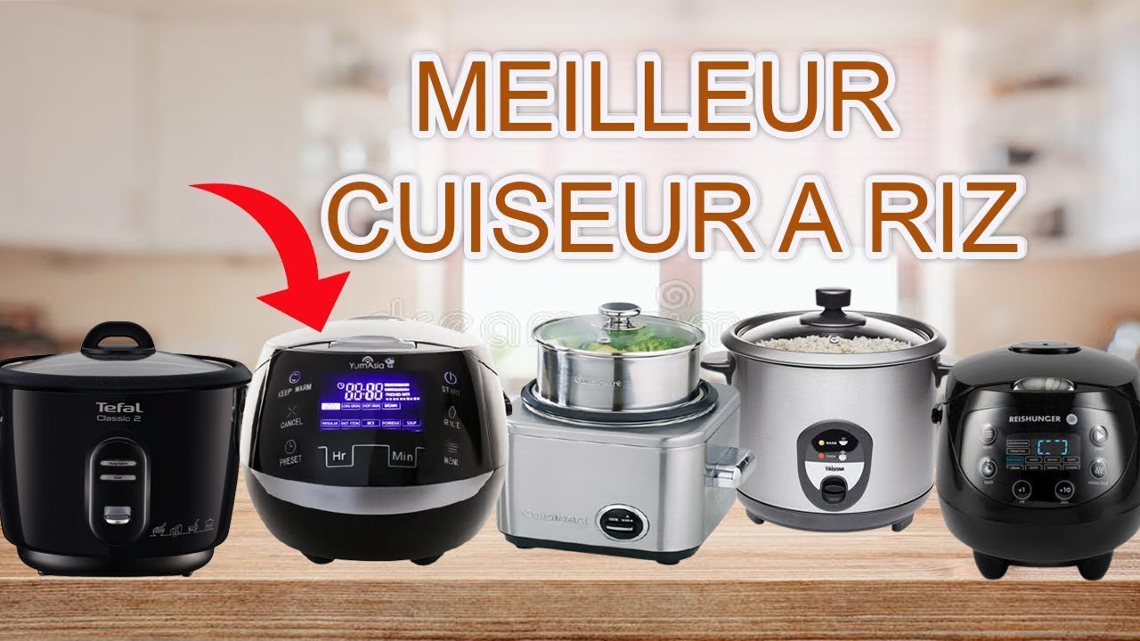 Reishunger Mini Auto Cuiseur Riz (rice cooker) Japonais et Cuiseur