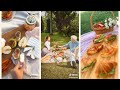 TIKTOK PICNIC COMPILATION 🥂💐🍰