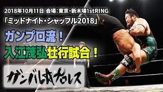 ガンプロ流！入江茂弘壮行試合！入江茂弘 vs 力  Shigehiro Irie vs Chikara 2018.10.11 新木場大会