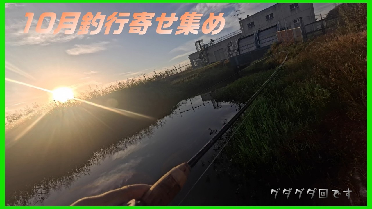 【バス釣り】秋はいつも通り苦戦中でございます。取り合えず今月の釣果を寄せ集めてみました。