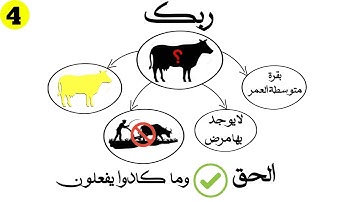 سورة البقرة • الآية 60-74