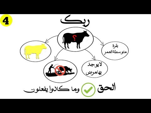 سورة البقرة الآية 60 74 